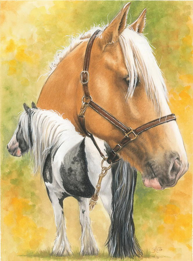 Irish Cob - Barbara Keith